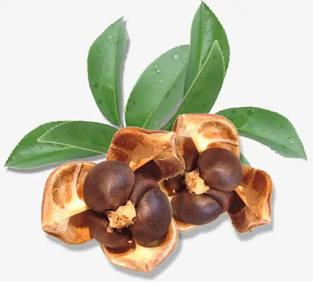 華泰茶籽預處理解決方案