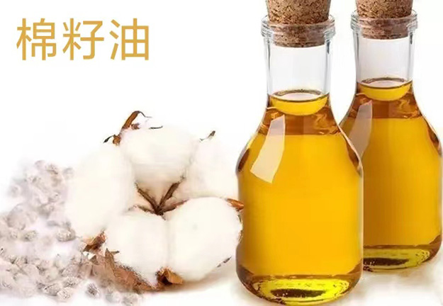 棉籽油精煉成套工程