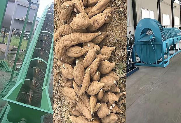 葛根淀粉生產方案