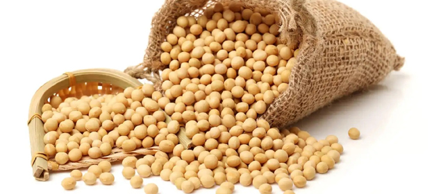 華泰大豆預處理解決方案