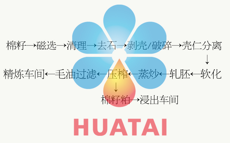 棉籽預處理工藝